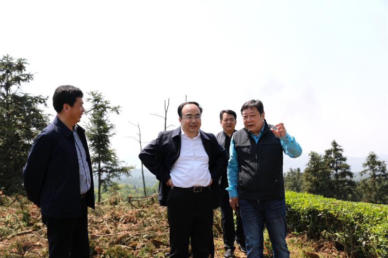 tyc86̫�����Ź���