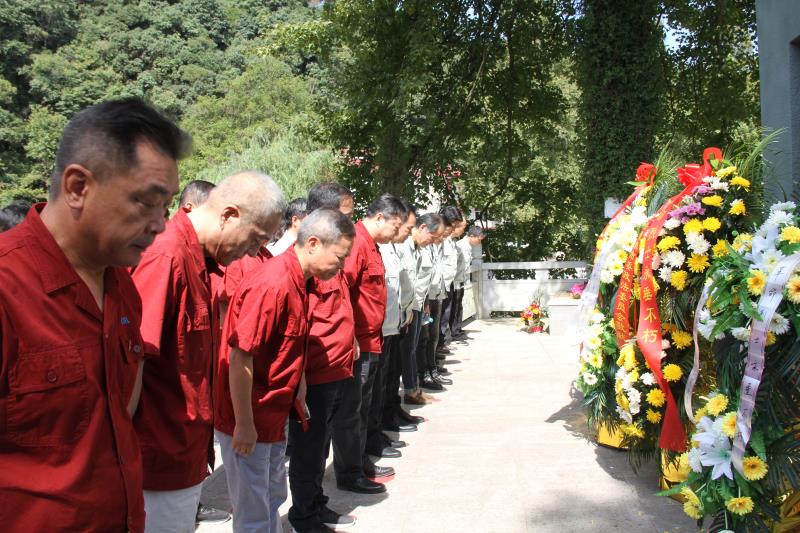 tyc86̫�����Ź���