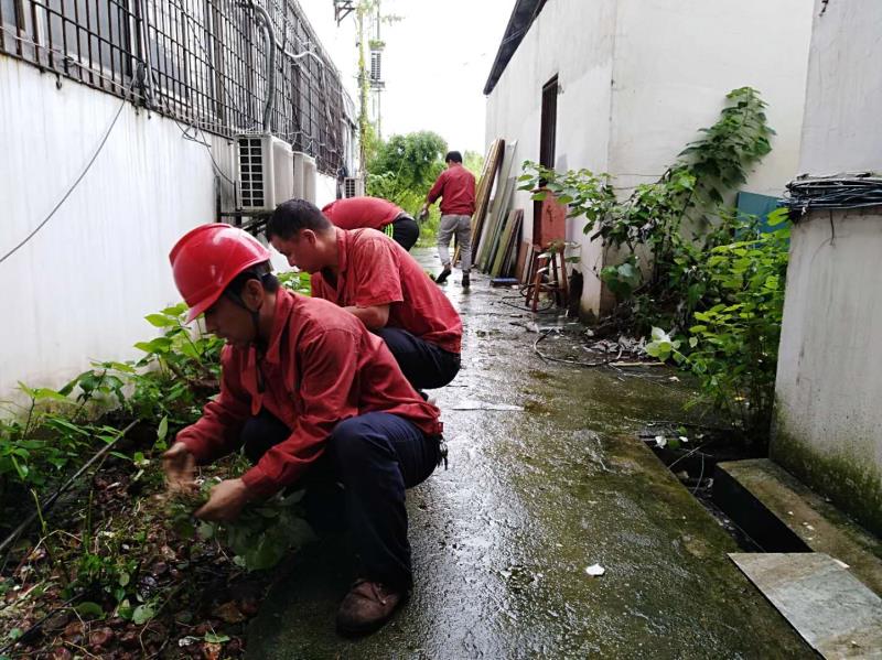 tyc86̫�����Ź���