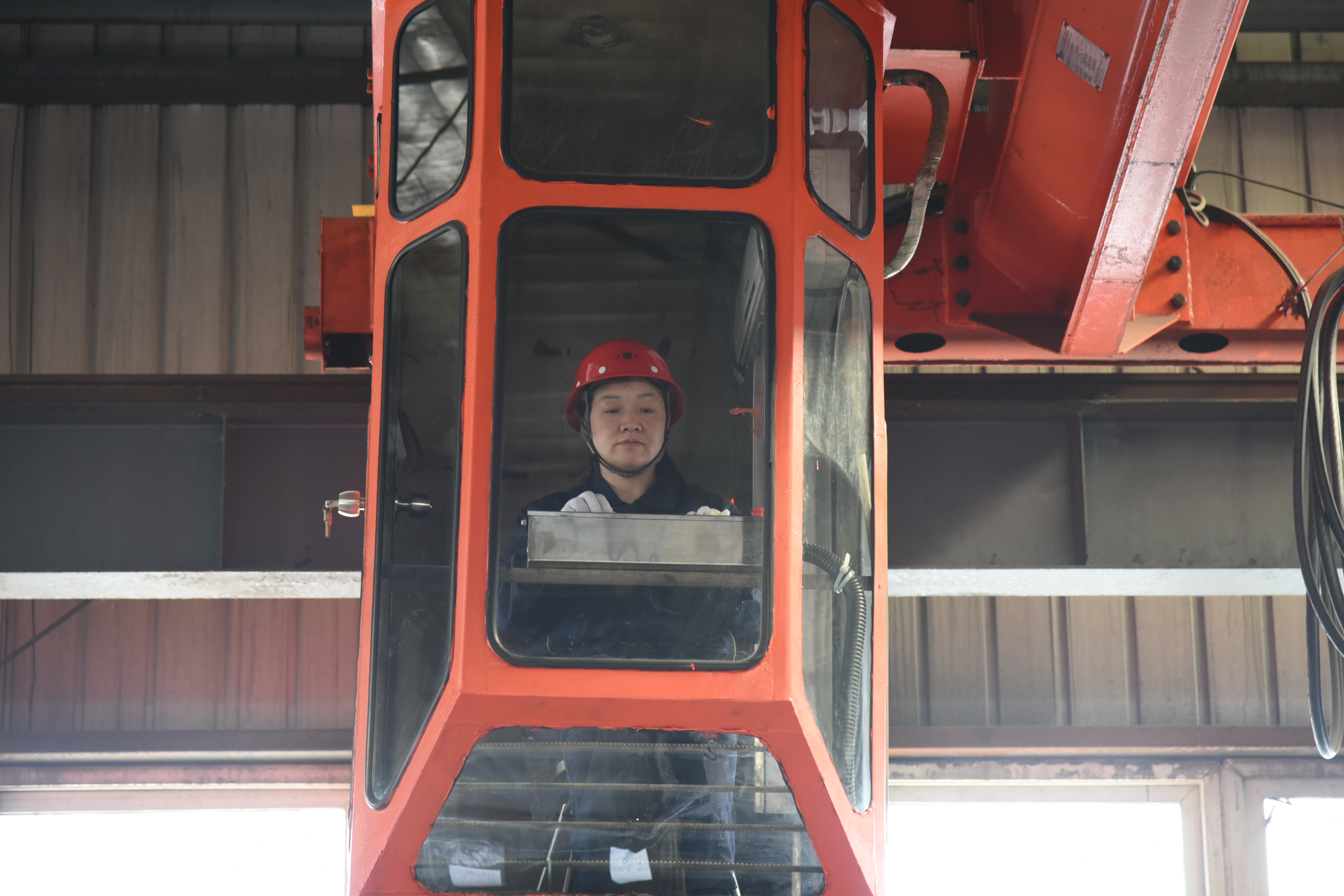 ���� (2).JPG