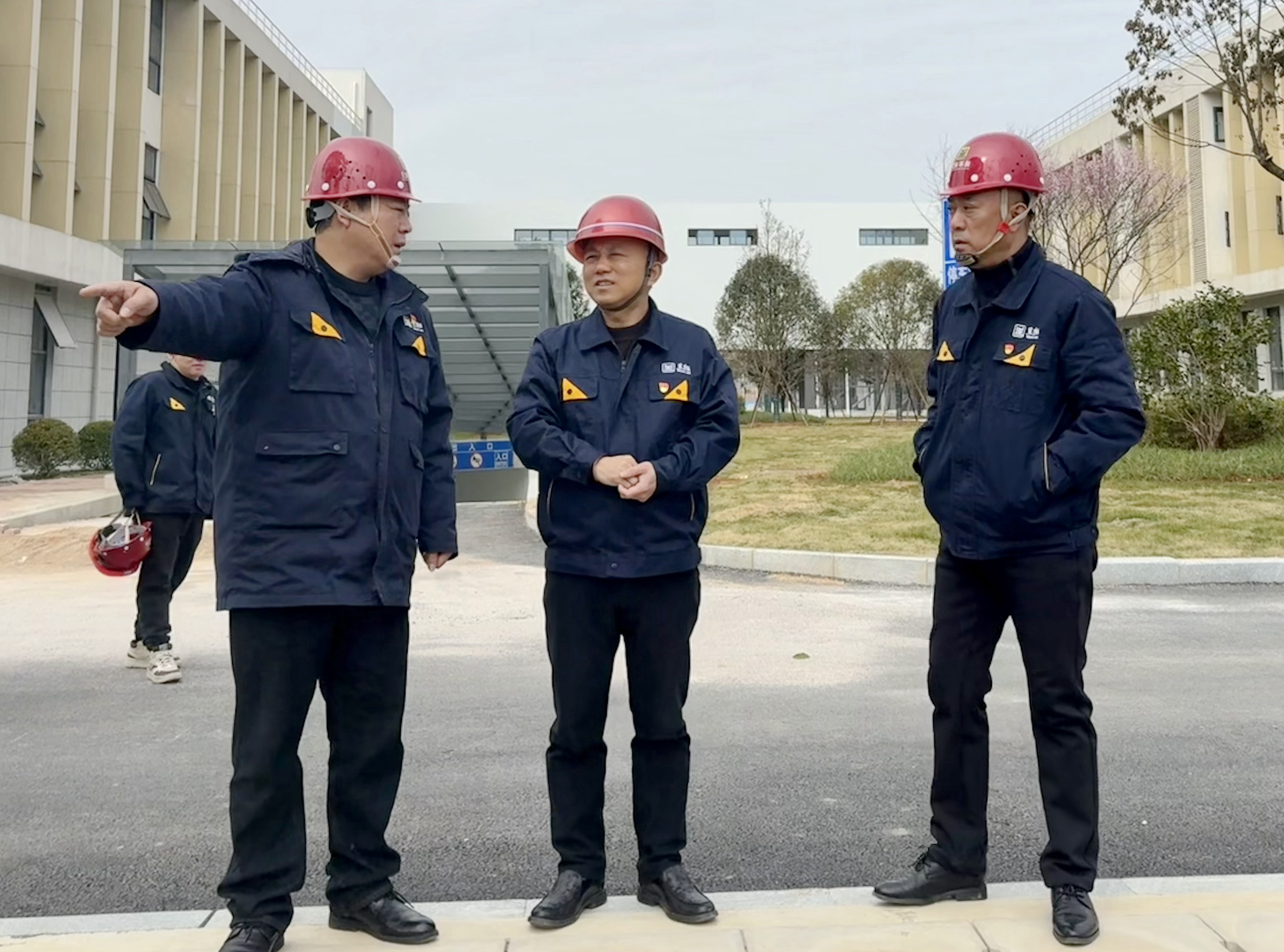 ͼ1 ʢ��ϲ�����ֳ�.jpg